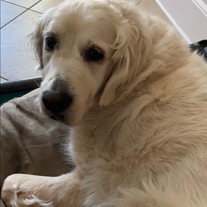 Meet your Posher, Suzanne